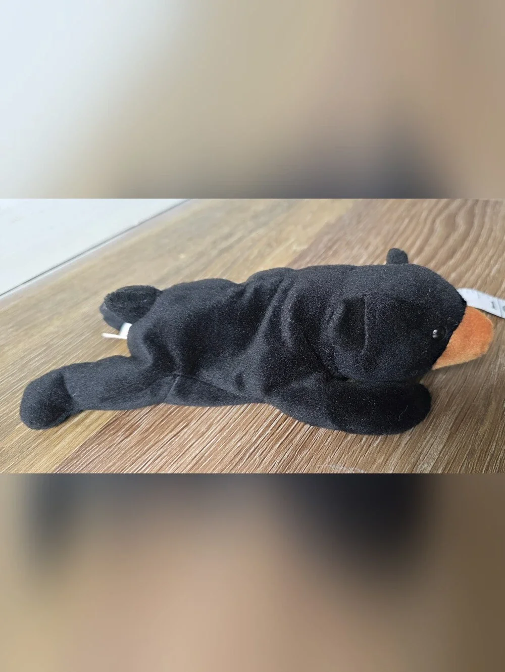 Ty Black Plush Bear with Orange Snout